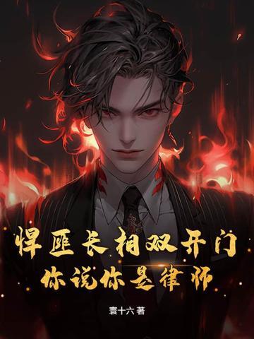 悍匪长相双开门，你说你是律师？封面