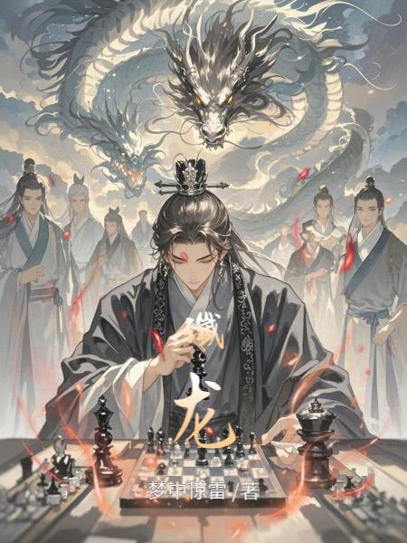 谶龙封面