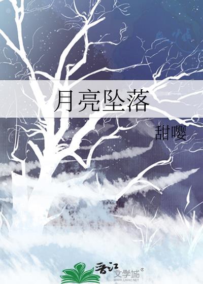 月亮坠落封面