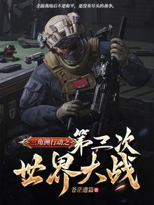 三角洲行动之第三次世界大战封面