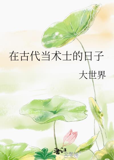 在古代当术士的日子封面