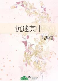 沉迷其中封面