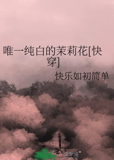 如此夜晚封面