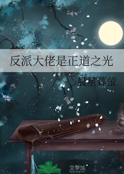 反派大佬是正道之光封面