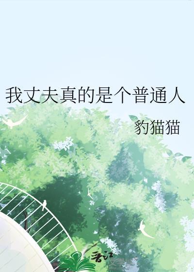 我丈夫真的是个普通人封面