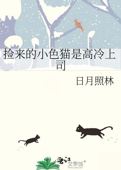捡来的小色猫是高冷上司封面