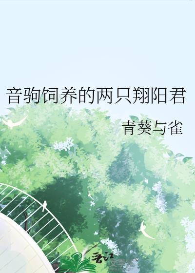 宫斗文女主的首席大姑姑封面