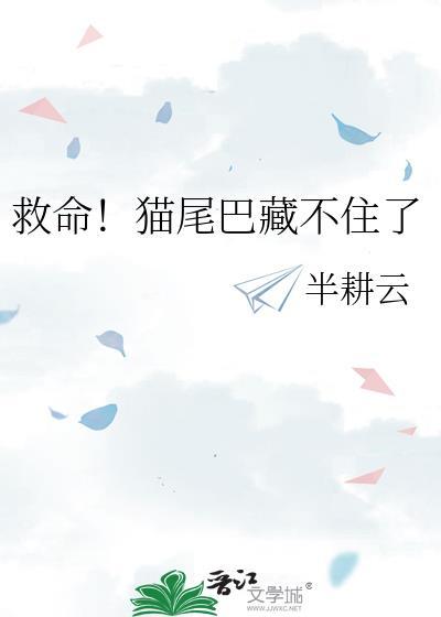 社会我纲哥[综英美]封面