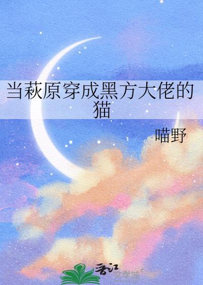 别摸我的猫封面
