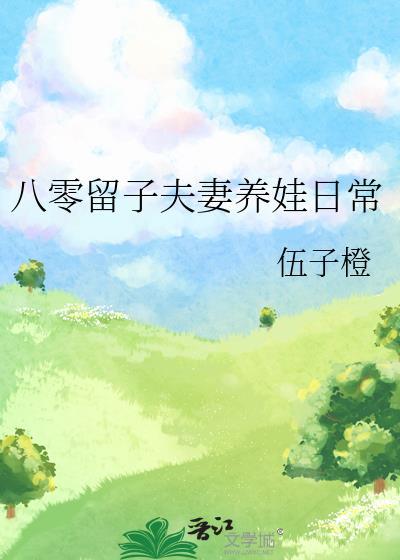 明末之定鼎河山封面
