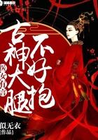 晴天微风冰块儿TXT百度网盘封面