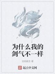 为什么我的剑气不一样封面