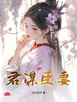 君谋臣妻封面