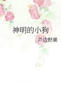 方芷玉方止林笔趣阁无弹窗封面