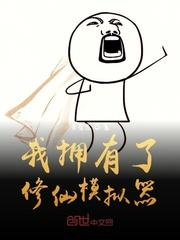 问鼎刀塔封面