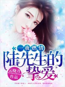 一篇民国宠妻甜文可爱叽TXT百度网盘封面