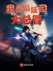 法兰西帝国：但拿破崙四世封面