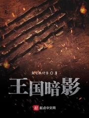 王国暗影封面