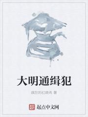 大明通缉犯封面