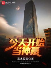 七星流云剑之江湖有情封面