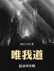 唯我道封面