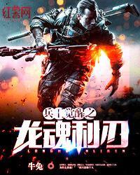 龙魂兵王封面