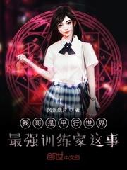 本王朱重九四哥洪武大帝朱元璋封面