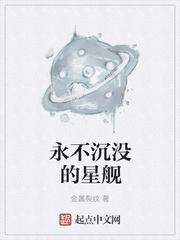 永不沉没的星舰TXT封面