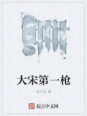 大宋第一枪是谁封面