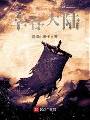 幸存大陆封面