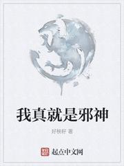 提灯照河山by淮上原著小说全集阅读封面