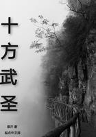 官途狂飙：从秘书到省委书记封面