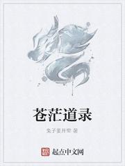 外神不在服务区封面