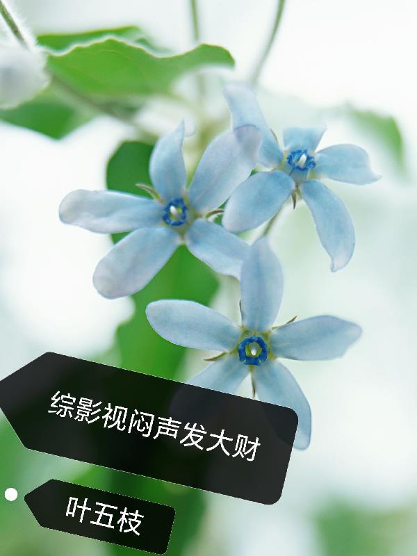 百鬼事录封面
