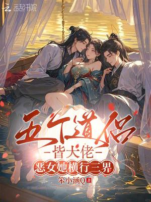 永夜君王封面