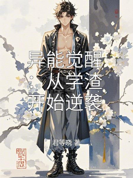 刀剑神域：完美人生封面