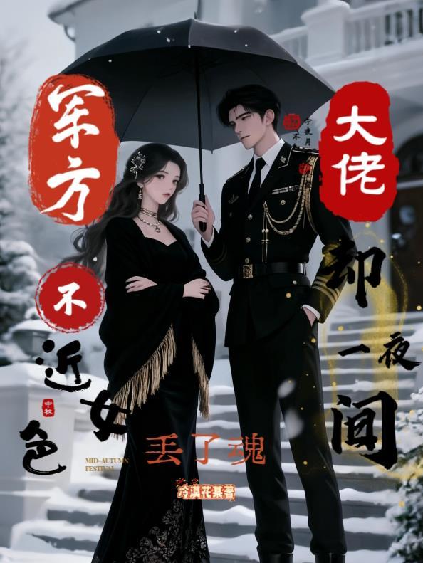 他旳温柔只对我可见封面