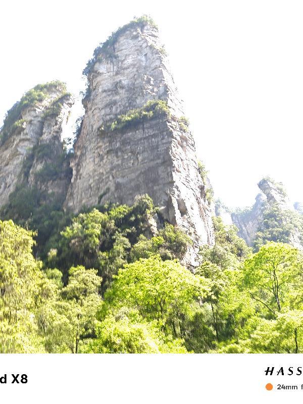 大明卫封面