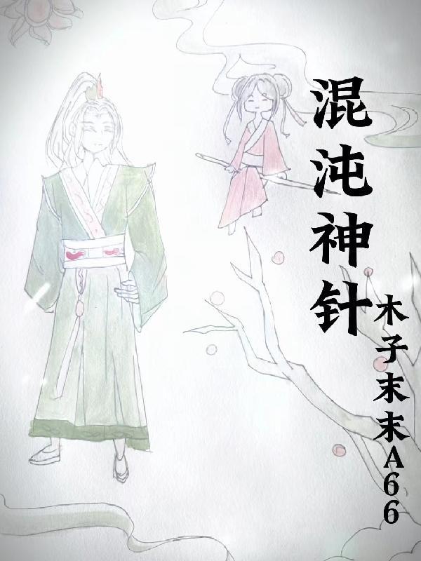 混沌神针封面