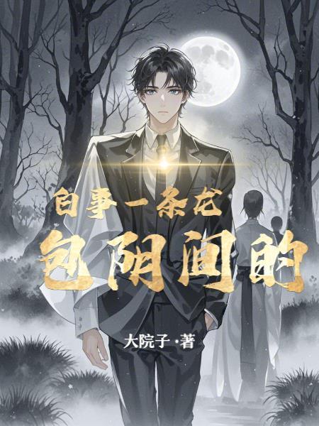 总攻 攻略系统 pan封面