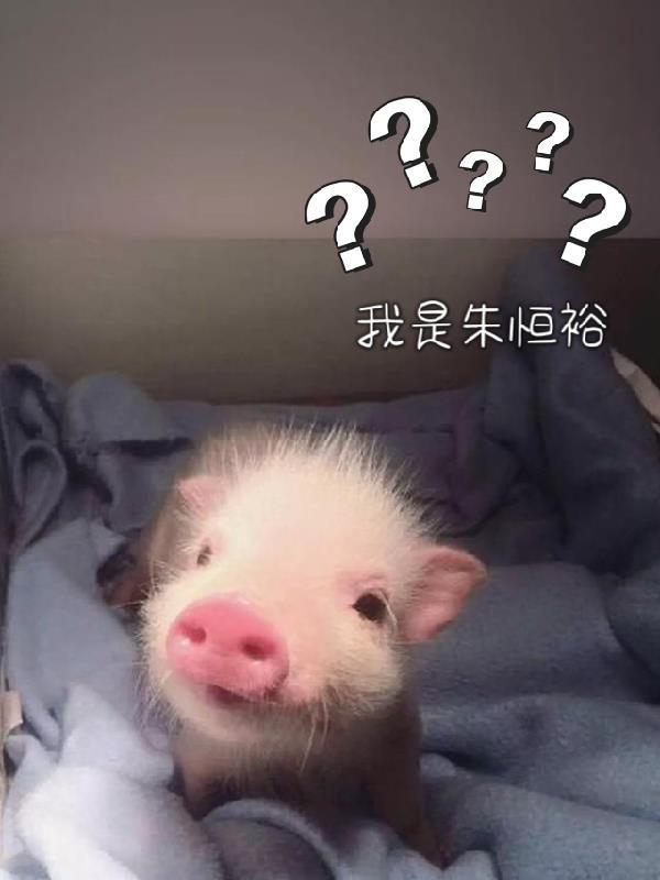 我在深圳的青葱岁月封面
