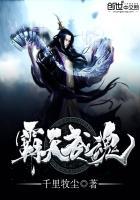 萌宝寻爱：破茧成蝶之旅封面
