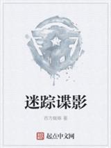 我欲乘风去又恐惊楼玉宇高处不胜寒及舞弄清影封面