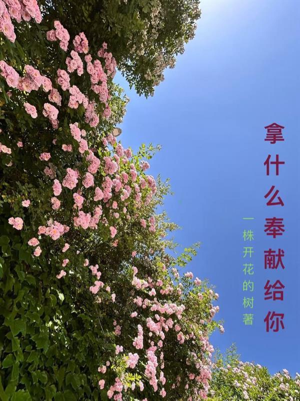 武周仙帝封面
