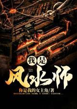 巫师世界的血脉术士封面