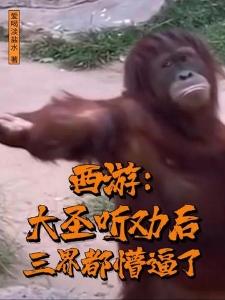 小巷人家描写了哪些画面封面