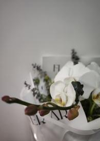 《你想要什么结局？》封面