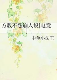 灌篮之教练传奇封面
