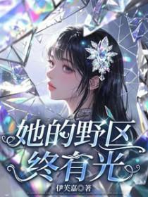 她的野区终有光封面