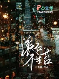 滚石不生苔封面